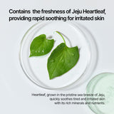 Panthenol Heartleaf Calming Gel Cleanser (6.08 fl. oz. / 180ml)