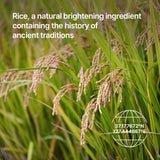 Niacinamide 1.56 Rice Brightening Pad (80pads)